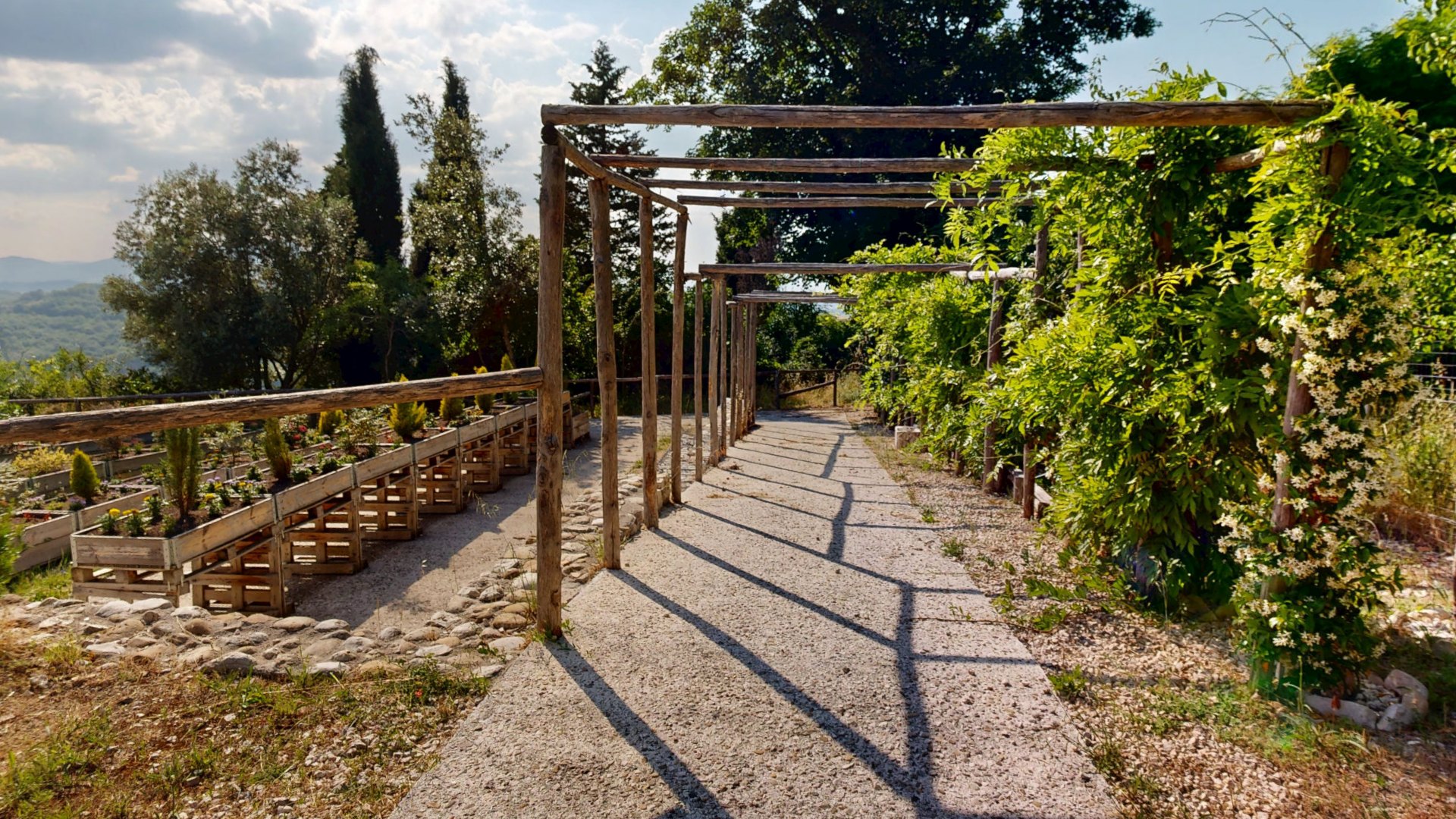 Fotografia del sopralluogo: il pergolato in legno del Parco della Memoria coperto di rampicanti, con il vialetto e i cassoni sulla sinistra